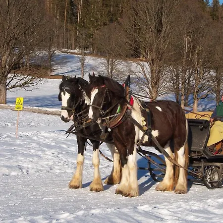 Zum Roessl * 람자우 암 다흐스타인