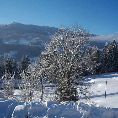 Zum Roessl 아파트 *