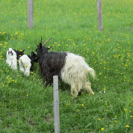 Zum Roessl 람자우 암 다흐스타인