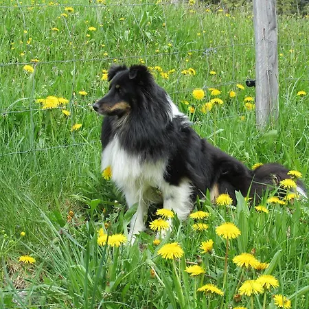 아파트 Zum Roessl