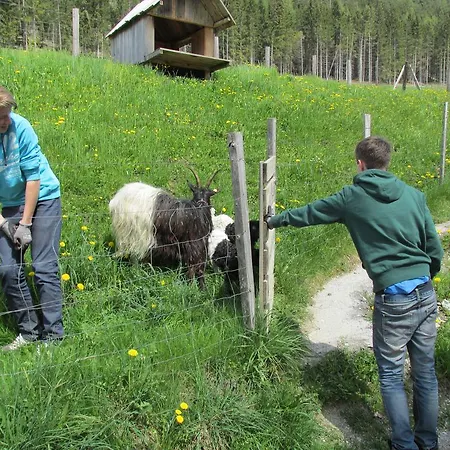 Zum Roessl Apartman Ramsau am Dachstein