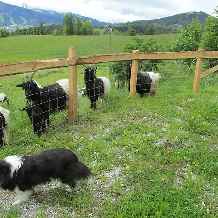 아파트 Zum Roessl *