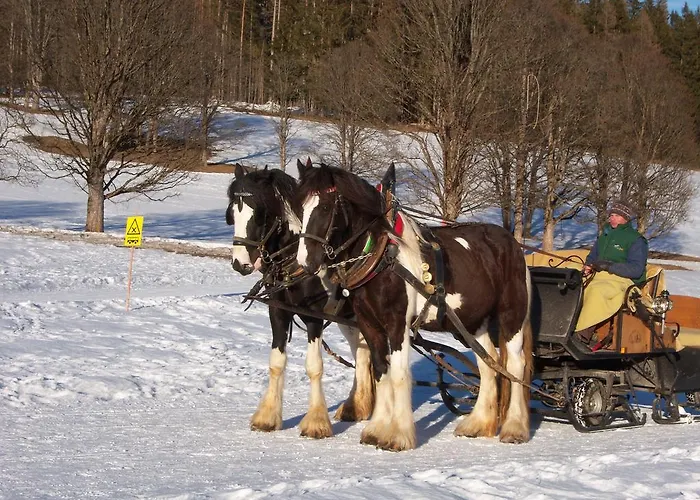 Zum Roessl * Ramsau am Dachstein