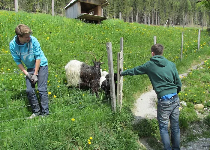 Zum Roessl アパート ラムサウ・アム・ダッハシュタイン