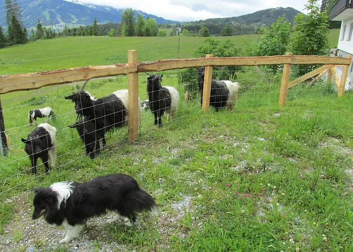 Apartmán Zum Roessl *